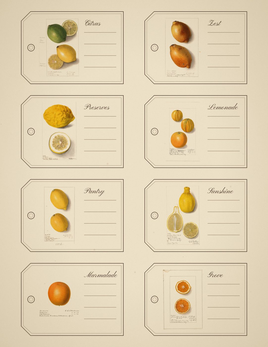 Free vintage junk journal printable tag sheet