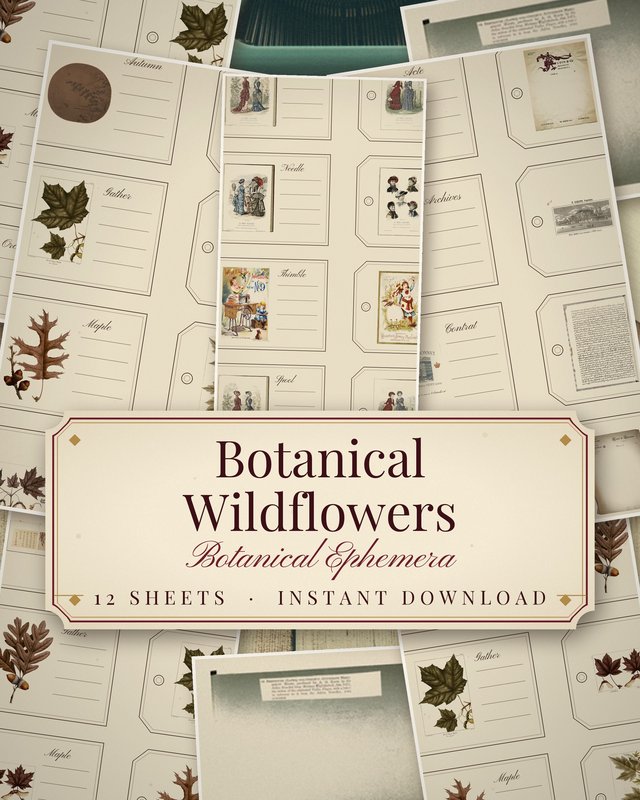 Botanical Wildflower Ephemera Pack